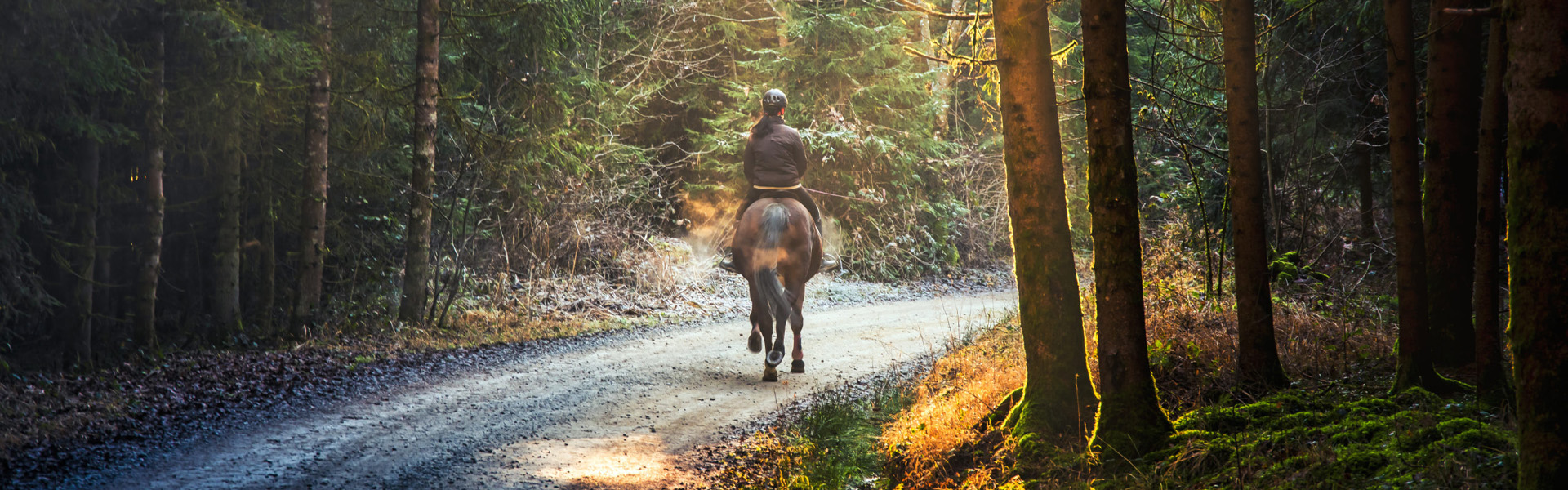 MANOIR DE LEBIOLES - Séjour 'à dos de cheval'